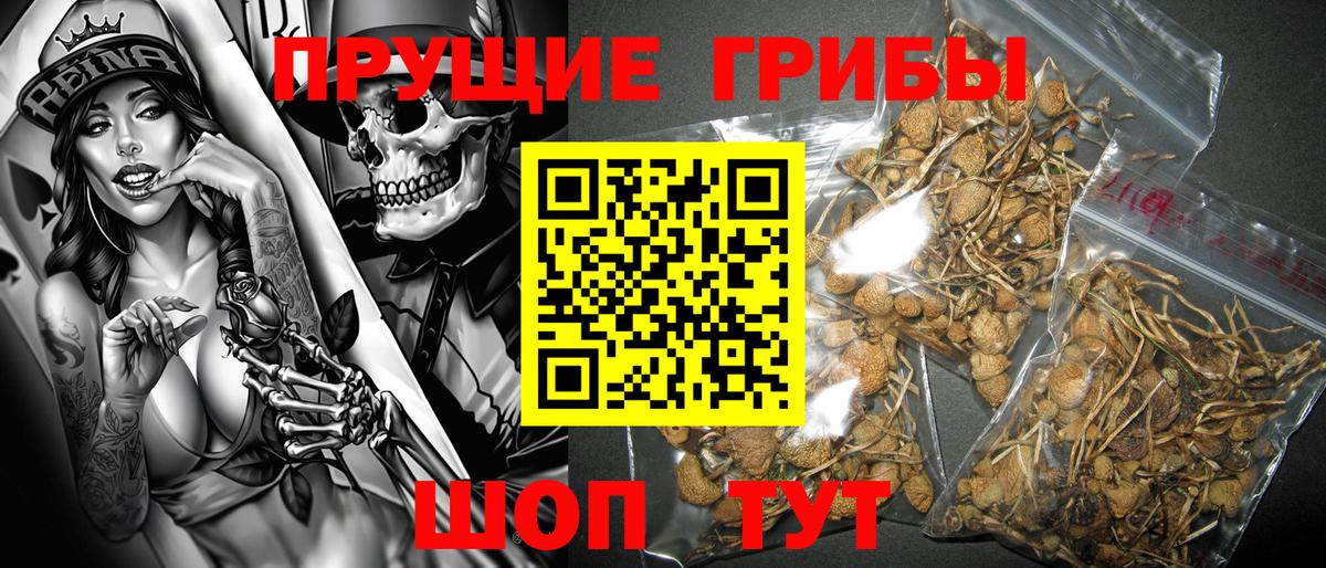 Галлюциногенные грибы прущие грибы Шали